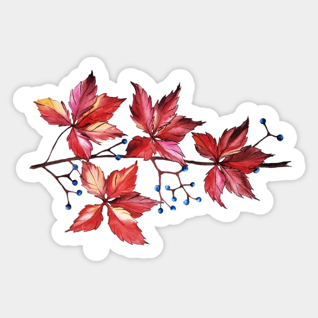 red leaves of wild grapes with blue berries Sticker by Art by Taya 